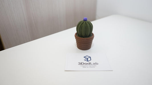 Cactus decorativi 3D effetto maglia