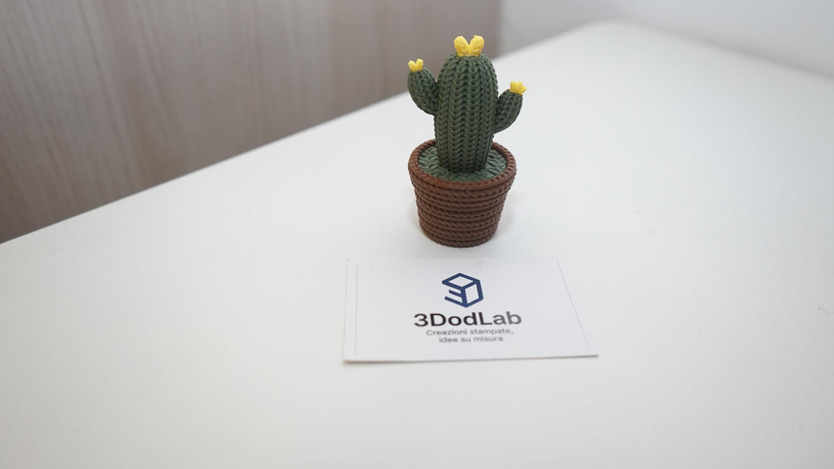 Cactus decorativi 3D effetto maglia