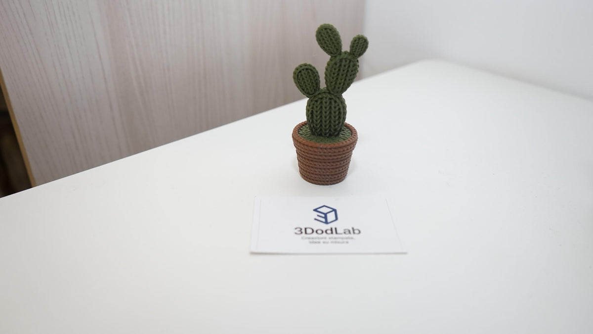 Cactus decorativi 3D effetto maglia