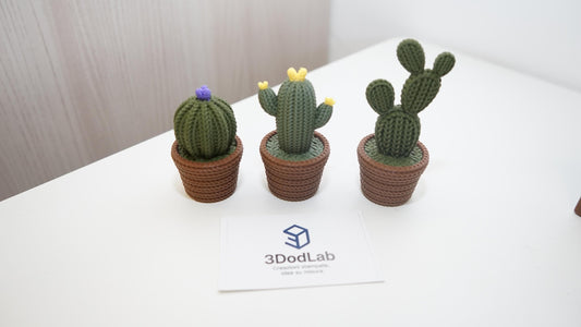 Cactus decorativi 3D effetto maglia