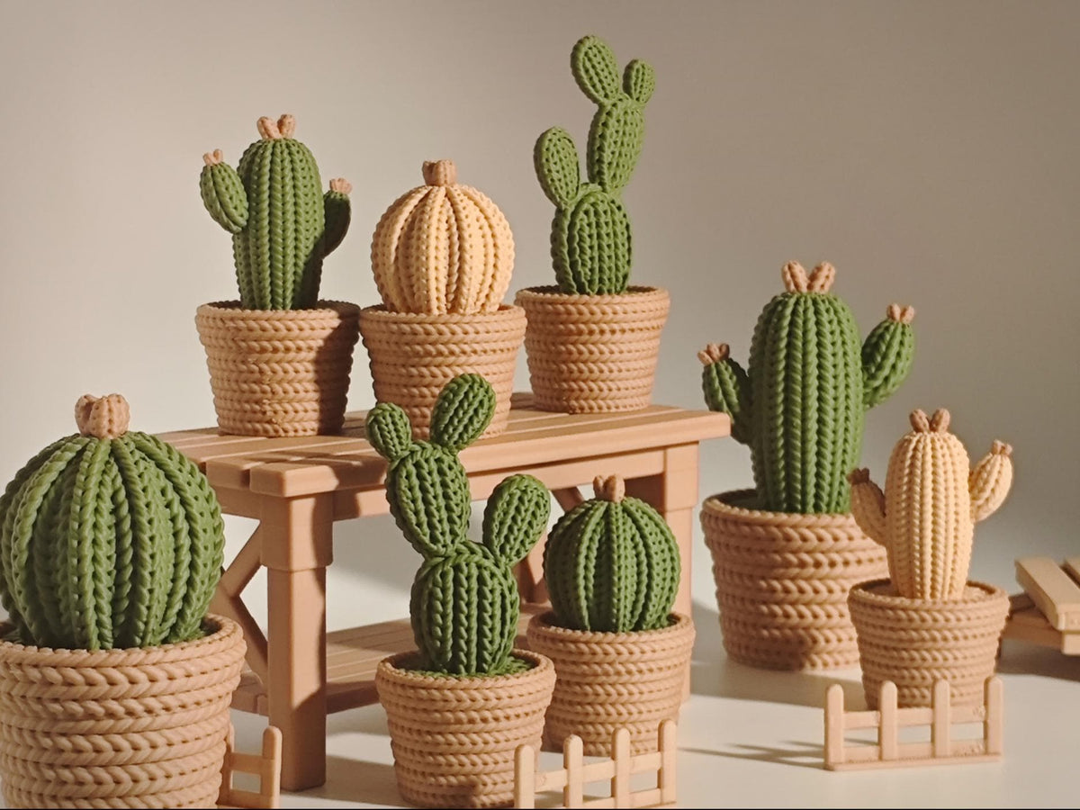 Cactus decorativi 3D effetto maglia