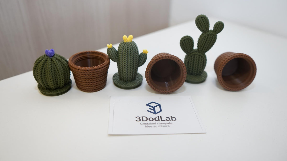Cactus decorativi 3D effetto maglia