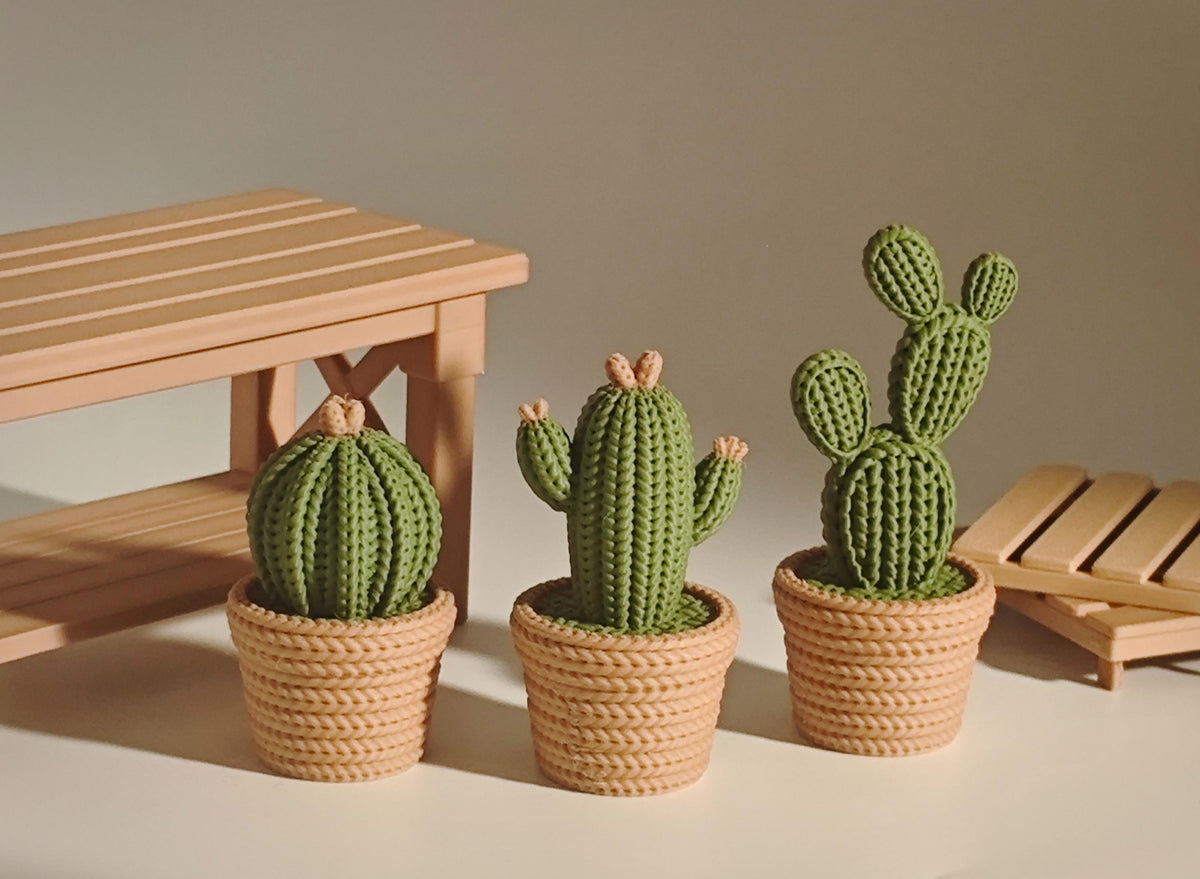 Cactus decorativi 3D effetto maglia