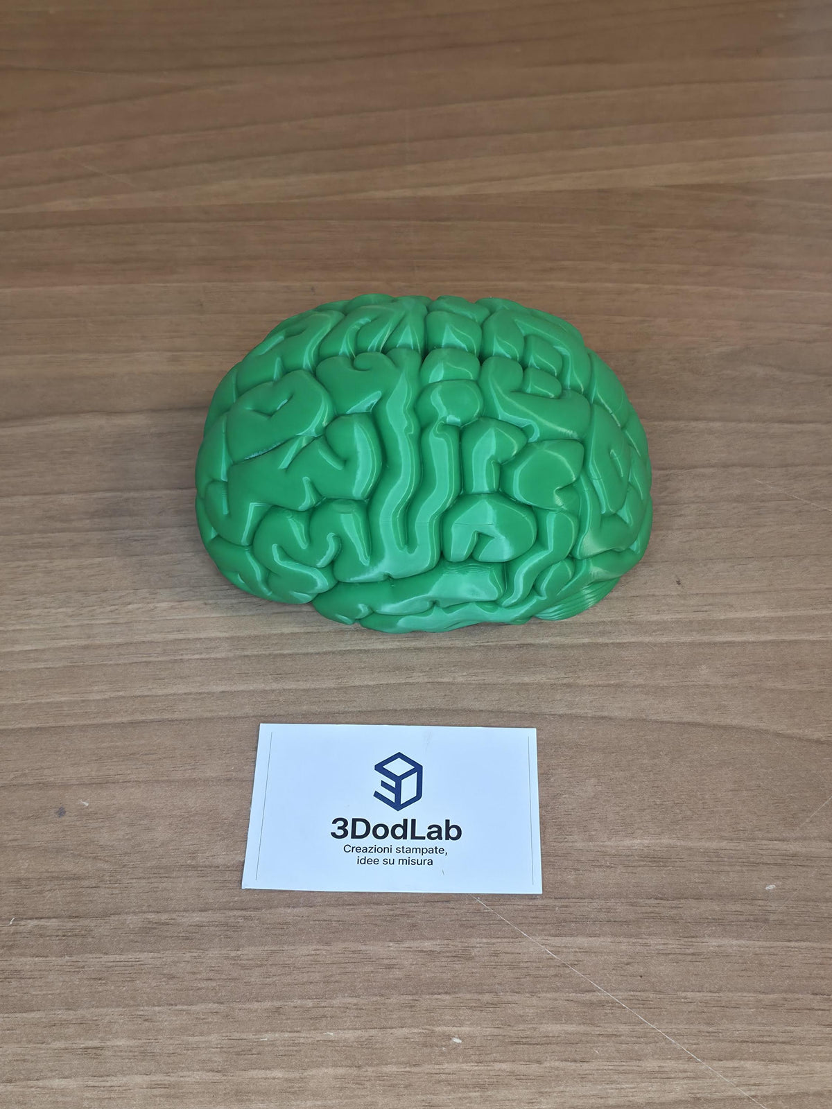 Scatola Cervello 3D con Coperchio Magnetico | Brain Box Portagioie e Scatola dei Ricordi