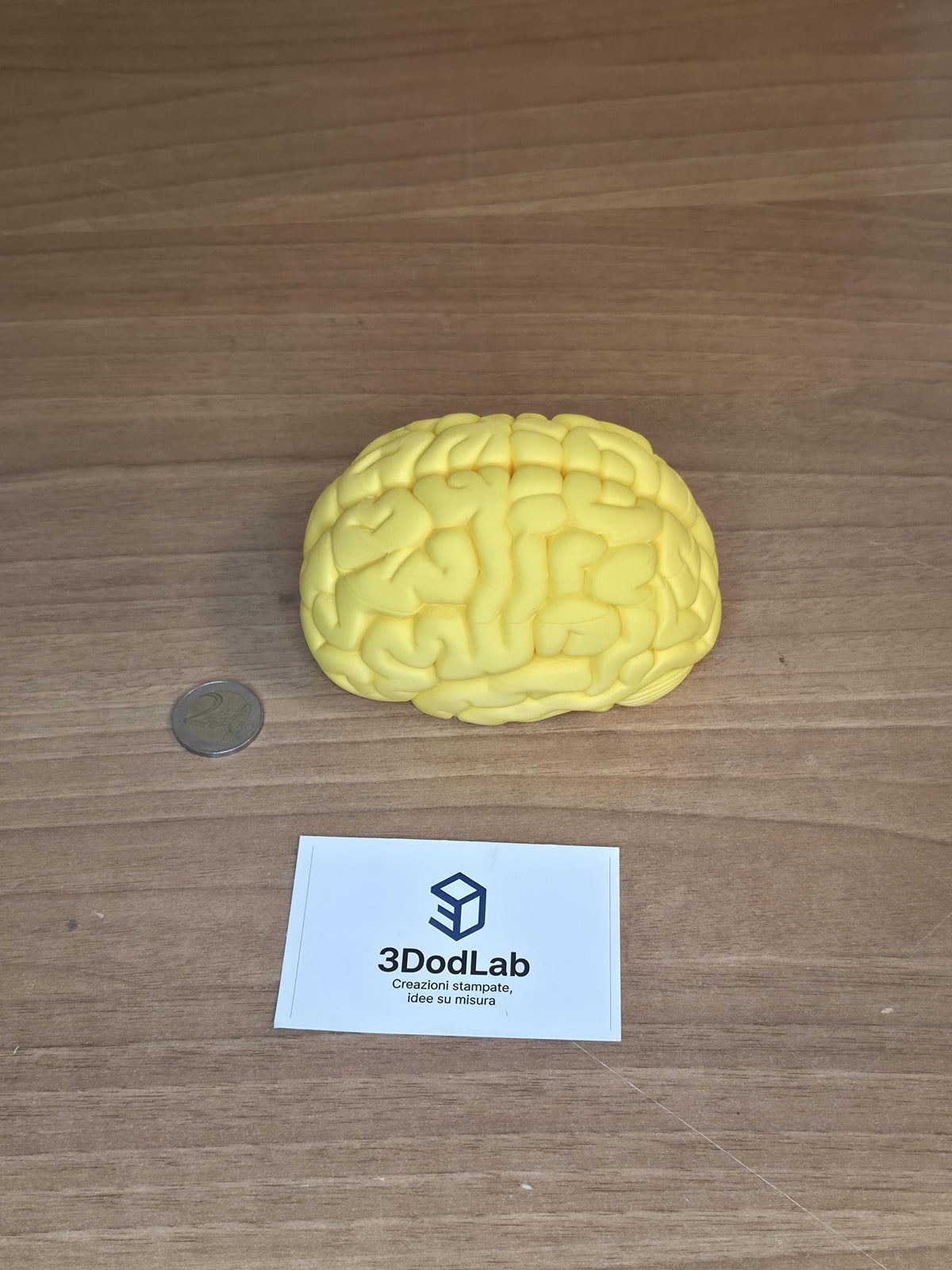 Scatola Cervello 3D con Coperchio Magnetico | Brain Box Portagioie e Scatola dei Ricordi